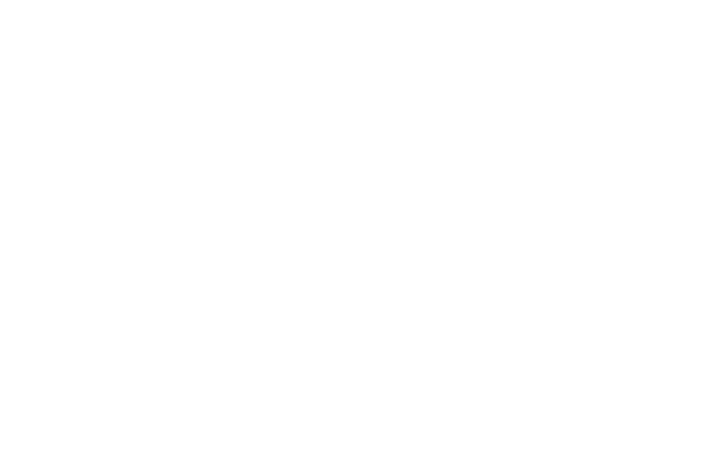 Bank BSU Logo weiss