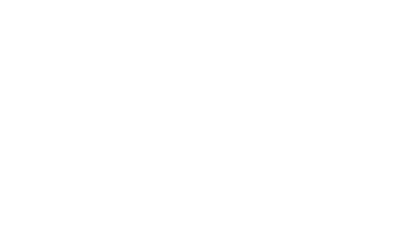 Elprom Logo weiss