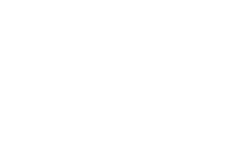 Flumroc Logo weiss