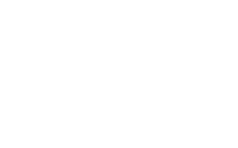 Pflegehilfe Schweiz Logo weiss