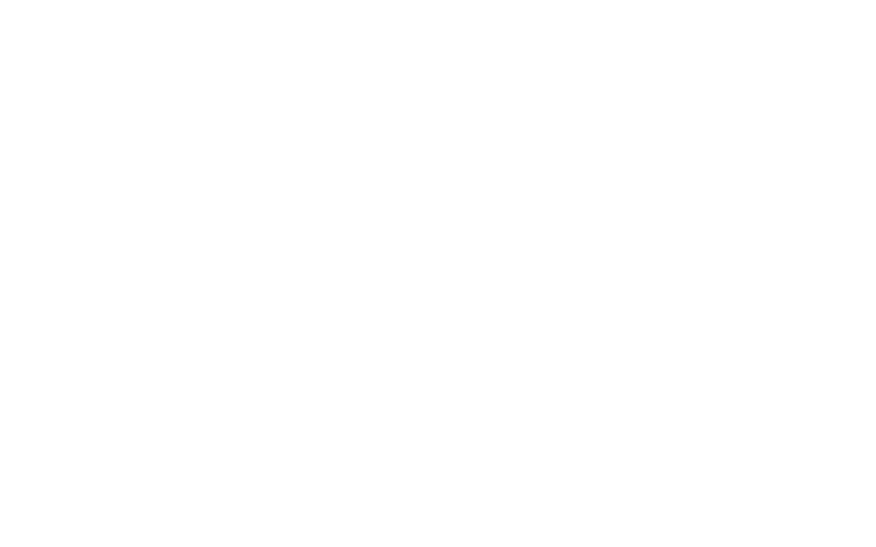 Phoenix Contact Logo weiss