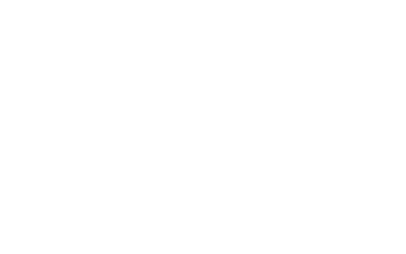 Planzer Logo weiss