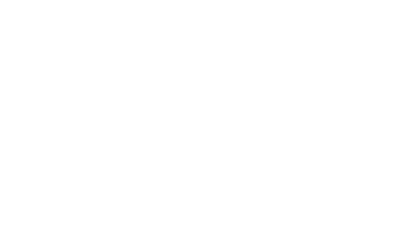 sayflowers Logo weiss